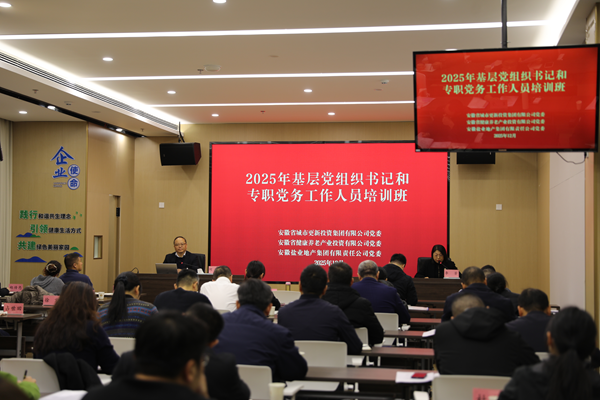 省城市更新集團(tuán)等三家公司舉辦2025年基層黨組織書記和專職黨務(wù)工作人員培訓(xùn)班